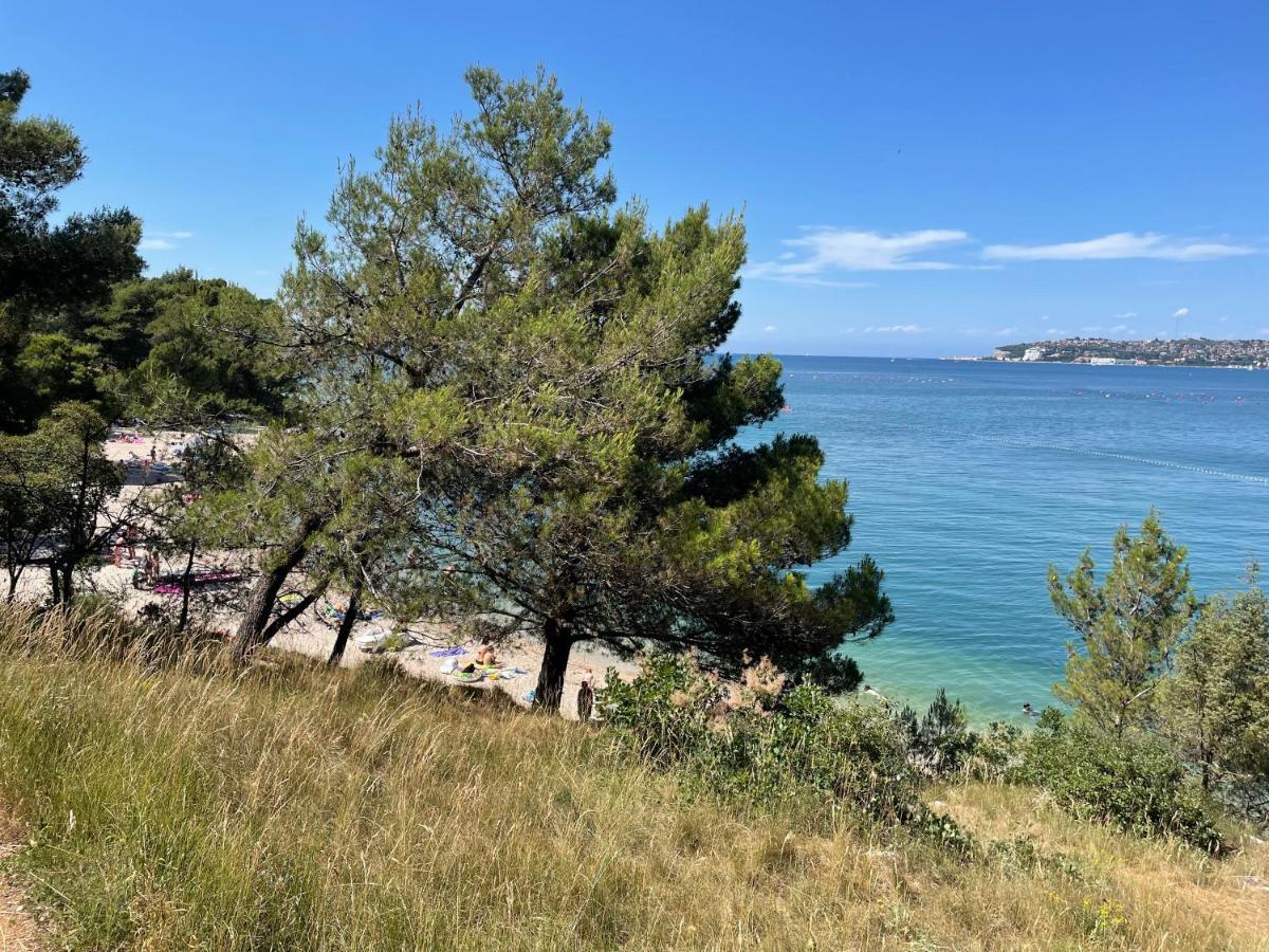 Zonta Maremi With Private Jacuzzi Apartment Buje