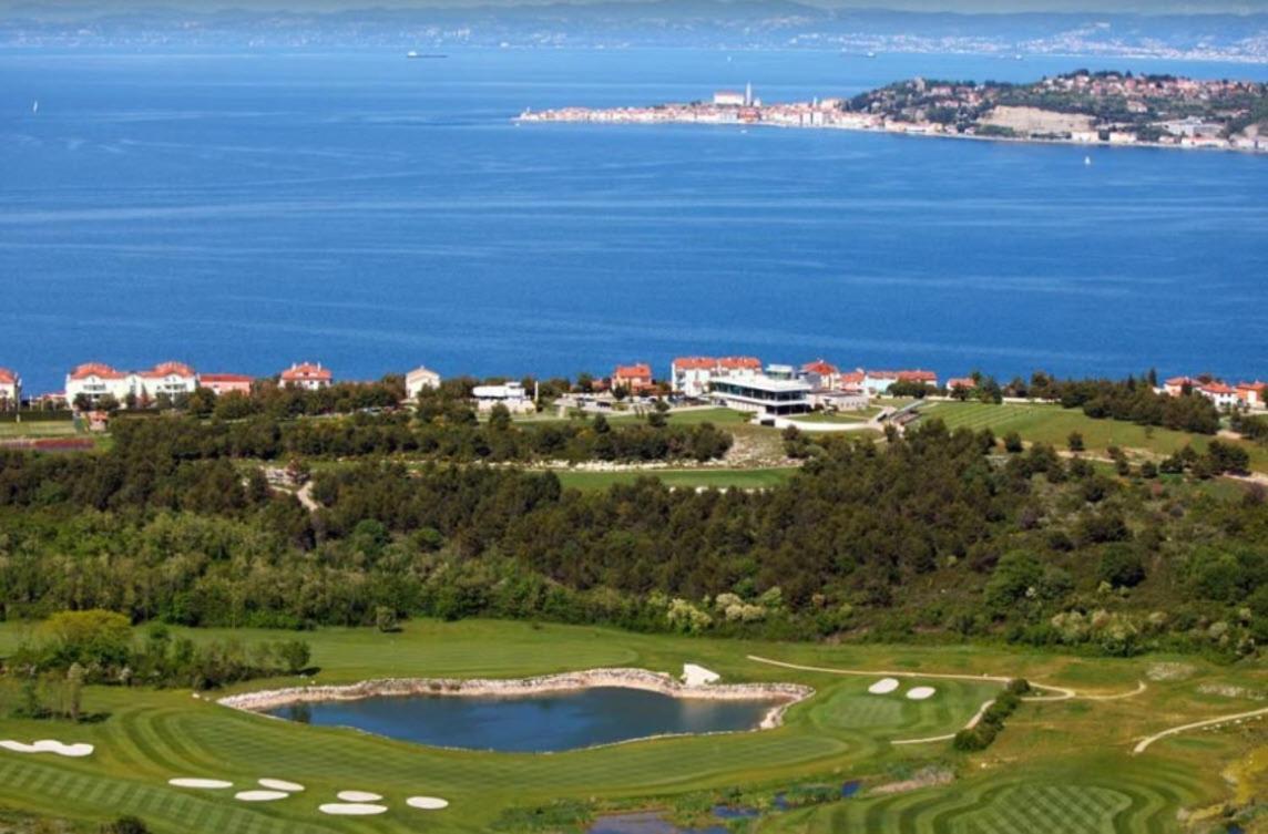 Zonta Maremi With Private Jacuzzi Apartment Buje